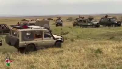 Tourism in the Masai Mara is getting out of control.. not even in the middle of the African savannah do they let the animals eat ..