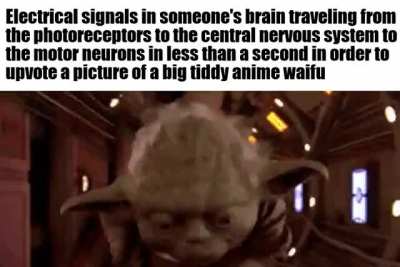 gotta go fast