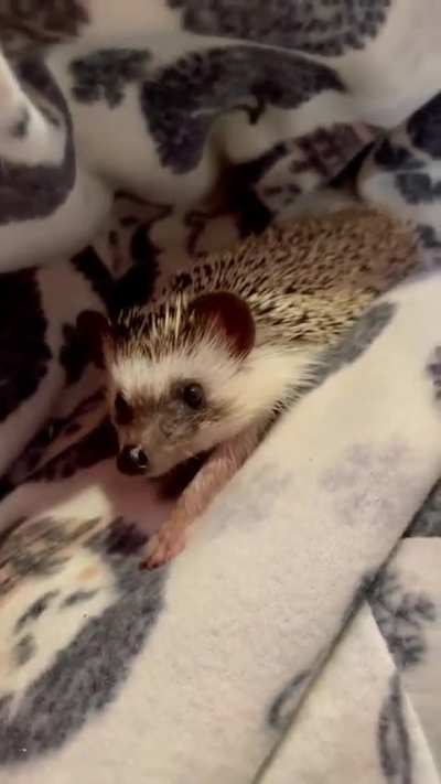 He's so cute.