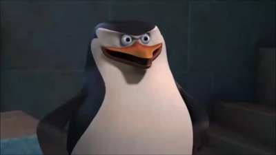 wtf skipper