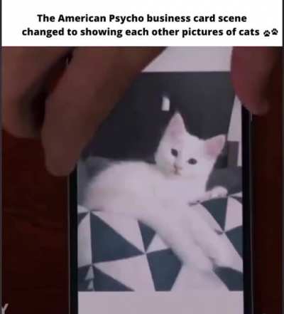 American Psycho and cats 😂