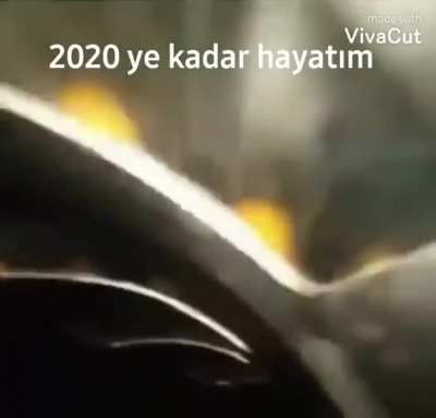 Selamun aleyküm