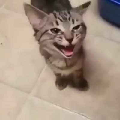 Posting random videos from my phone until I buy a new home button - day 170