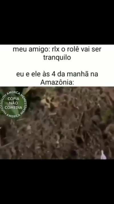 eu_nvr