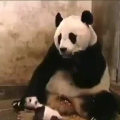 Haaa