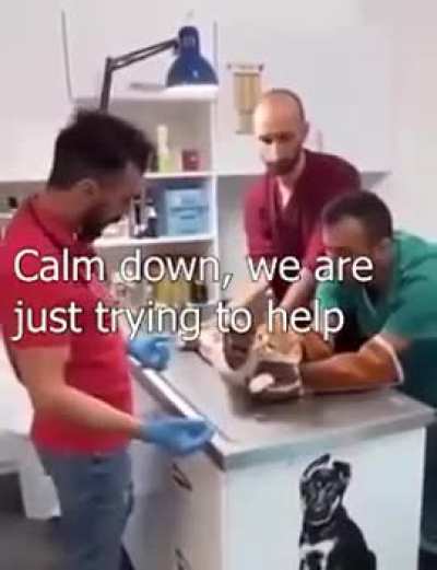 Would've done the same