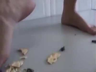 Mistrey crickets