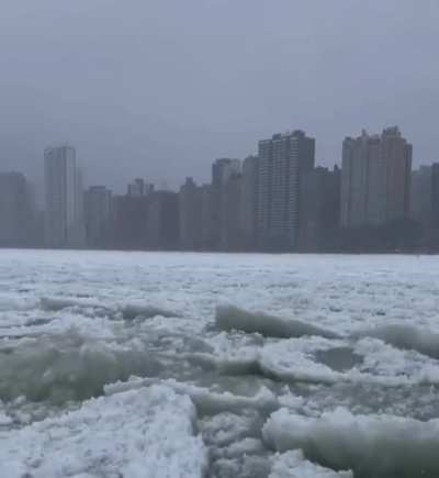Just another chill day in the Chi