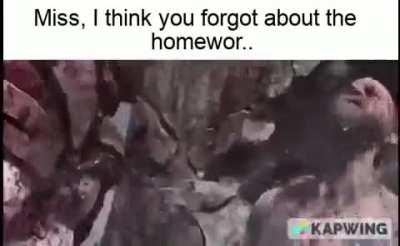This is why you don't remind the teacher about the homework.