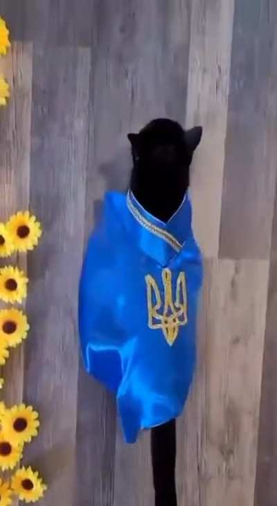 Good evening, we are from Ukraine