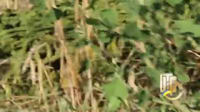 Ukrainian soldiers clash with separatist forces from an entrenched position near Luhansk - 2014