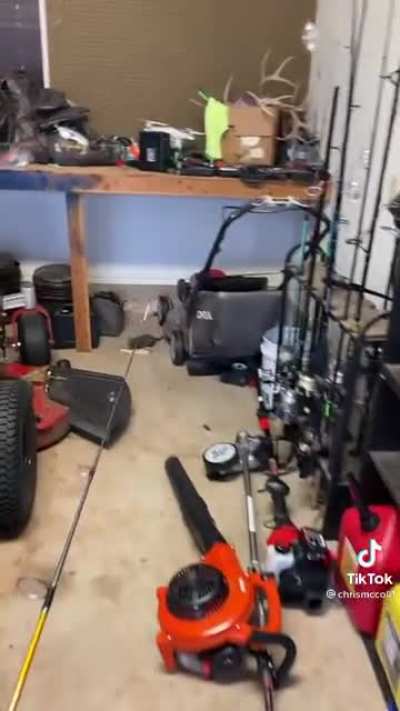 Huge Rat