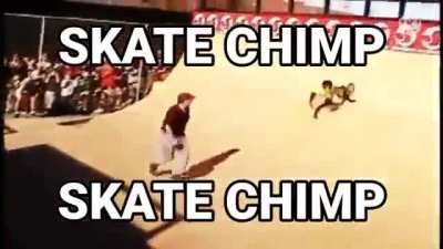 Epic chimp skate