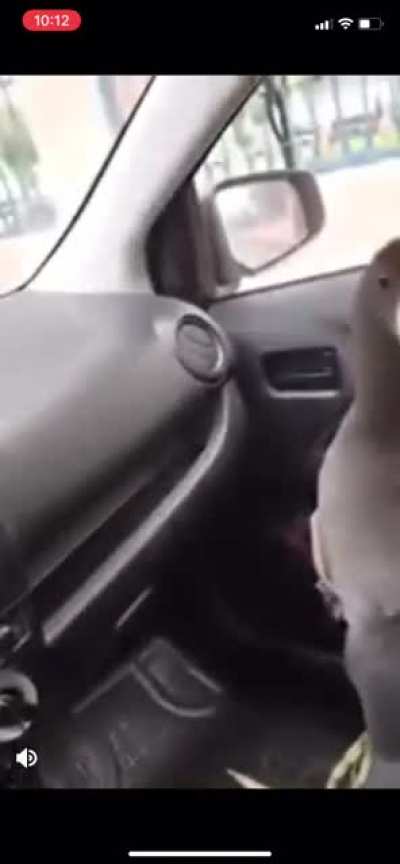 BIRB TIME