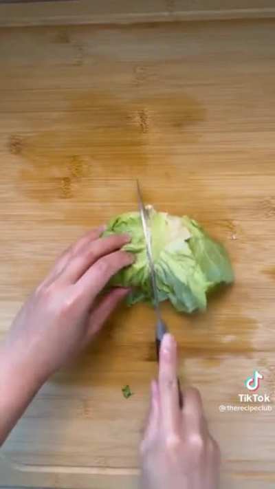 Boiled unseasoned chicken on a piece of lettuce. This is a hate crime