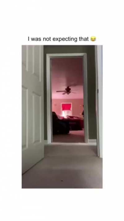 Get back in the shoe box