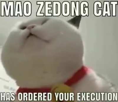 mao