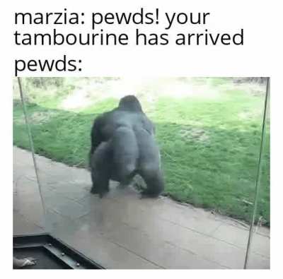 where is it?