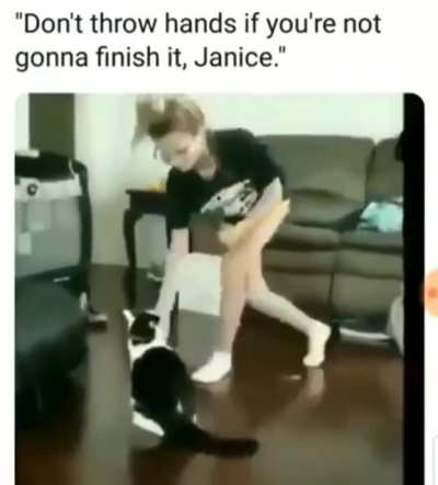 To box with a cat