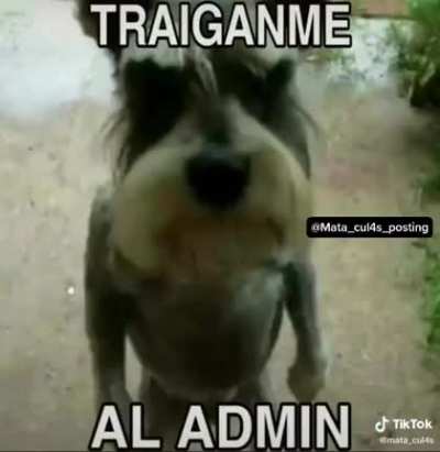 Hola soy nuevo