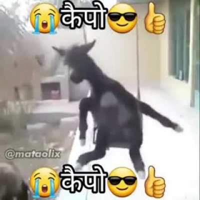 😎👍🏼