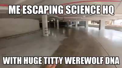 furry_irl