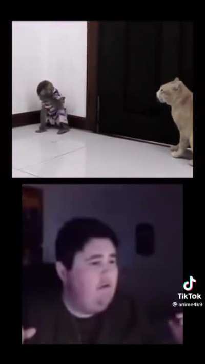 Muca quando terminou com a yasmin fofao loira