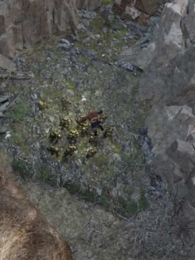 Slayer mains when they see a patrol