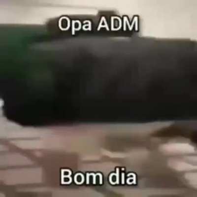 Opa Bom dia adm