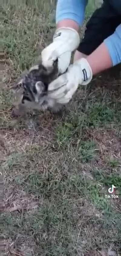 Aaaaaaaaaah