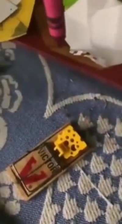 ª
