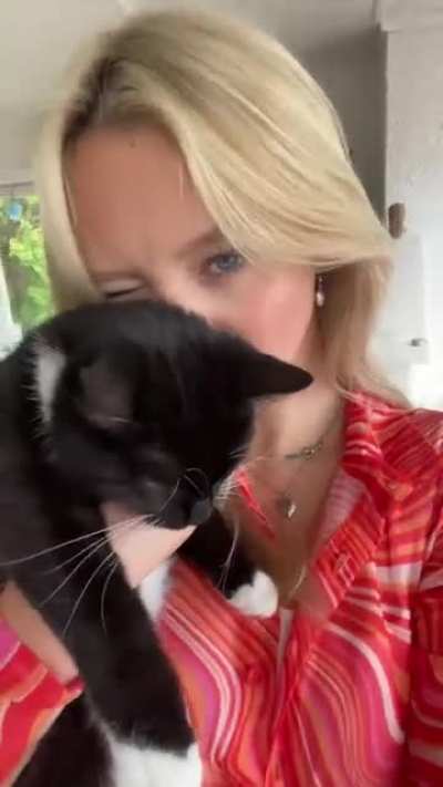 🐈🐈🐈