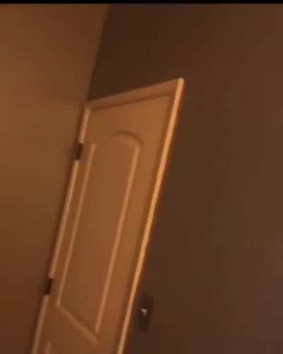 Hentai is life. Just be sure to lock your room.