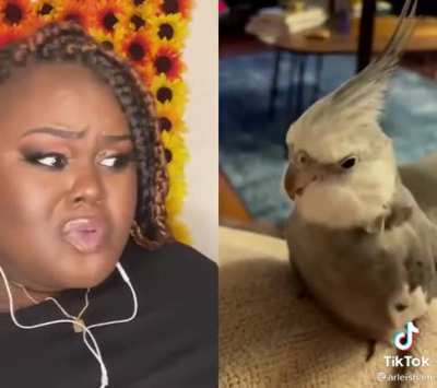 Birdie duet