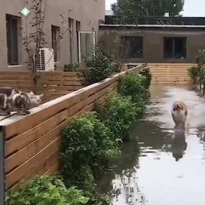 How did he do that?!?