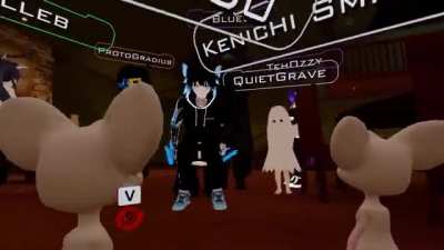 VR chat as a cat.
