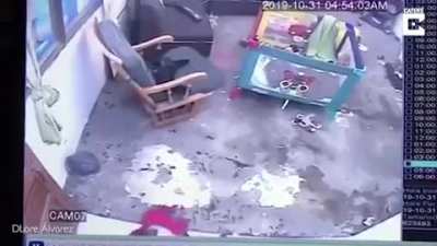 Котан спасает мелкого от падения со ступенек