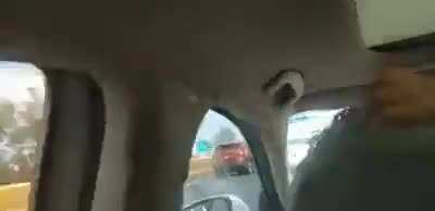 Unos burros se suben a los puentes en San Luis Potosí