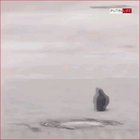 How can some people still think they are real?!