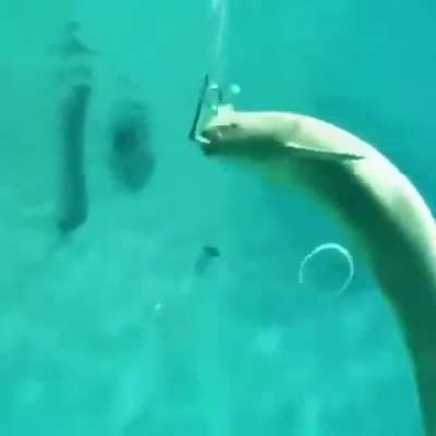 Damn even made the rings