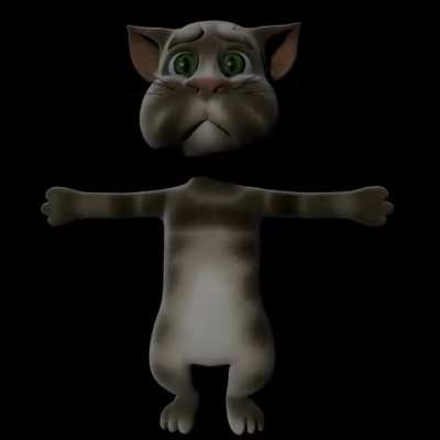 funny_cat.mp4