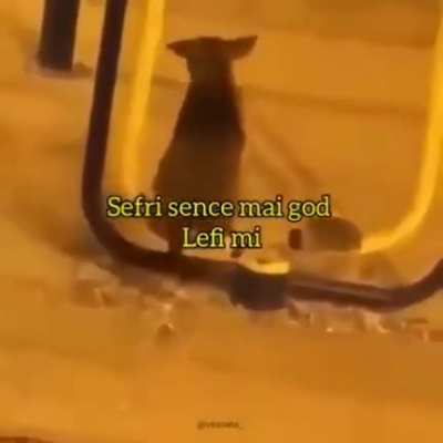Ai so lonli