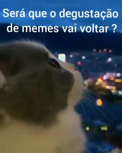 Será?