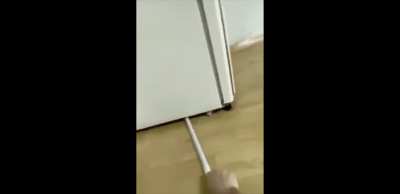 There is something under the fridge...