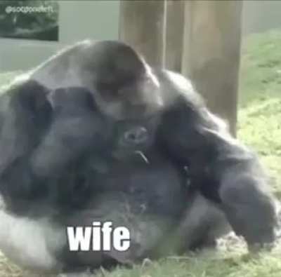 monke
