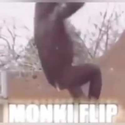 aaaaAAAAA