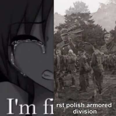tytuł