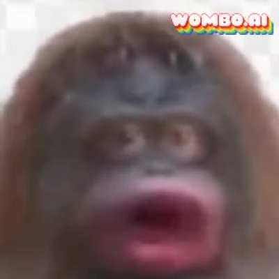 De monke