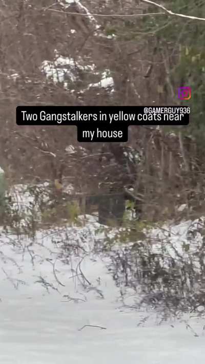 ⚠️⚠️⚠️