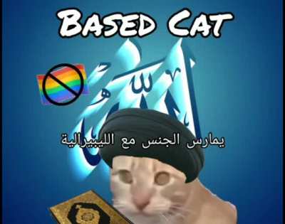 bosnian cat